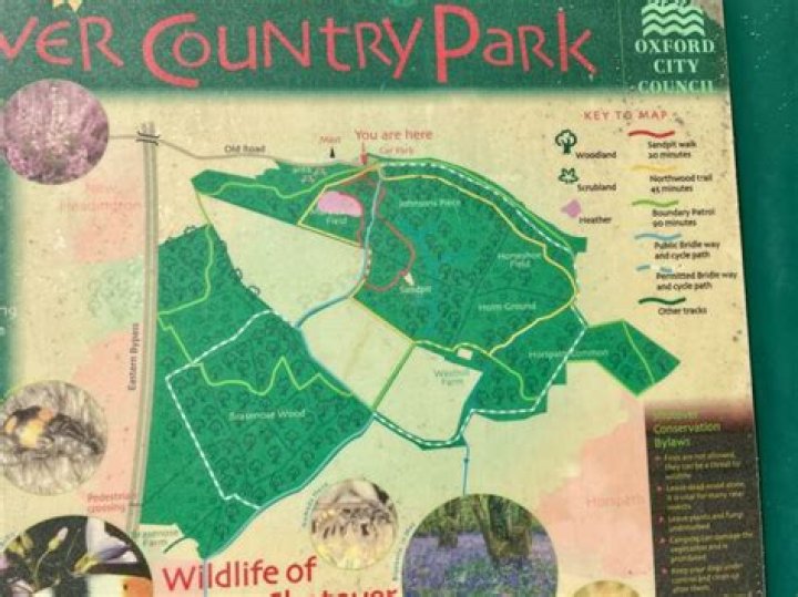 Where is Shotover Country Park?