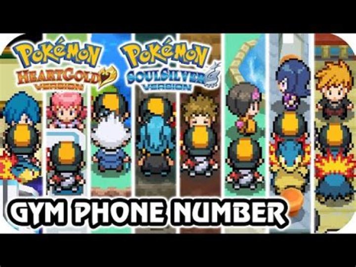 Where is the 8th gym in Heartgold?