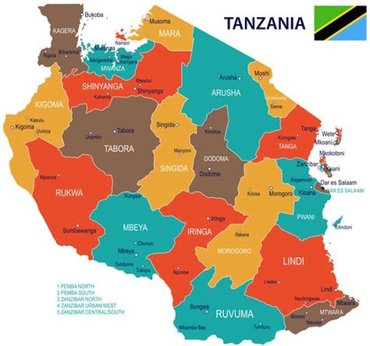 Where is the UN in Tanzania?