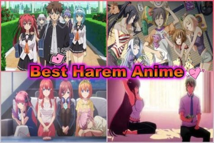 Which anime character has the best harem?