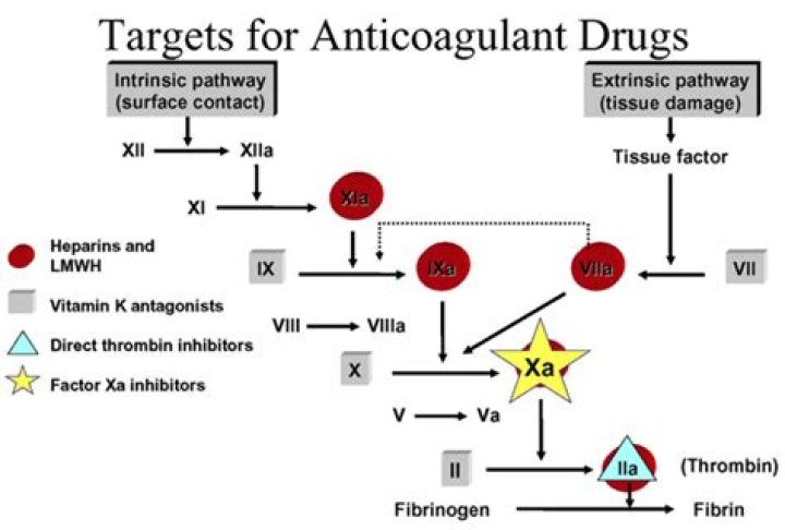 Which anticoagulant is best for DVT?