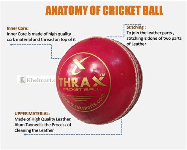 Which company makes cricket ball?