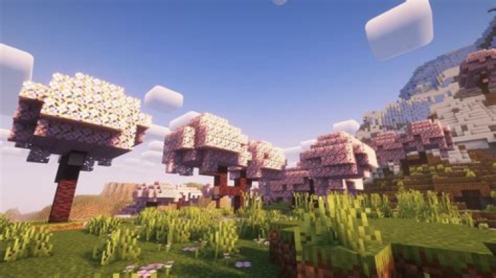 Which is the best biome in Minecraft PE?