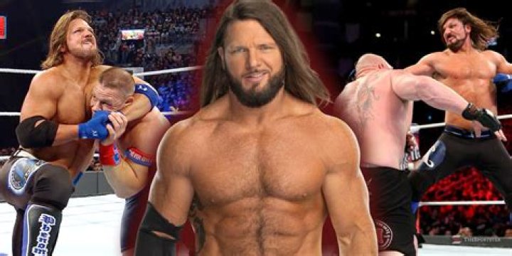 Which is the best match in WWE?