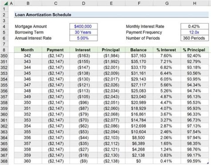 Which loan has the longest term?