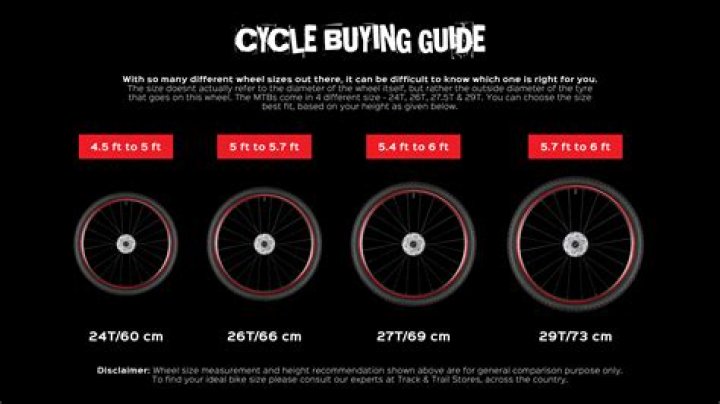 Which Roadeo cycle is the best?