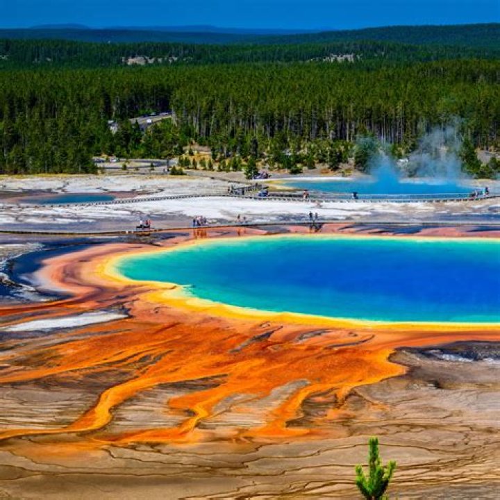 Which West Yellowstone KOA is better?
