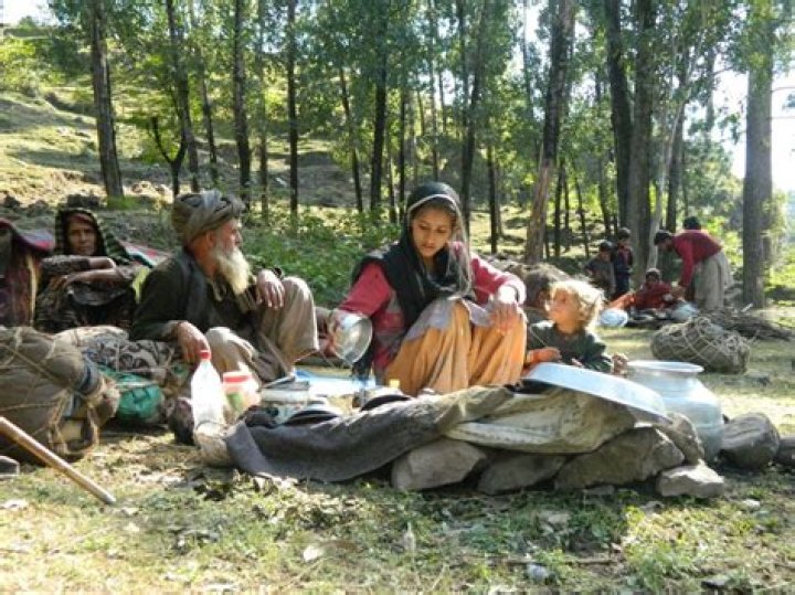 Who are Gujjar bakarwals of Jammu and Kashmir?