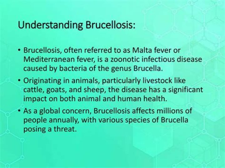 Who brucellosis treatment?