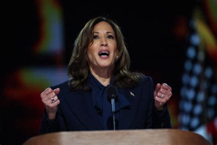 Who gave a speech to the Democratic National Convention in 1984?