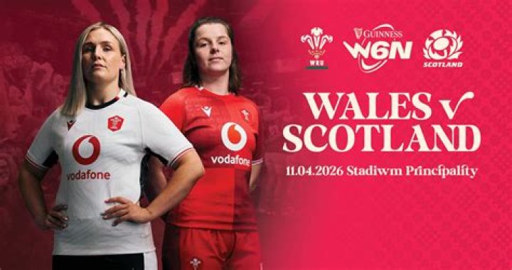 Who was ref in Wales v England?