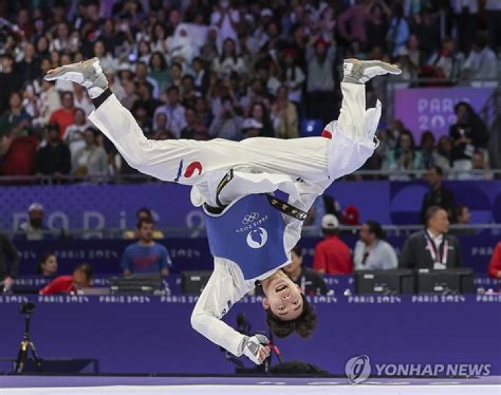Who won Taekwondo Olympics 2016?