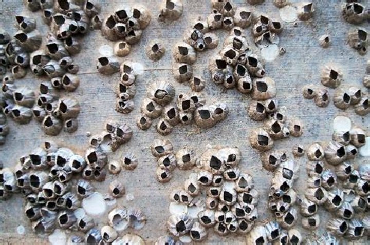 Why am I afraid of tiny holes?