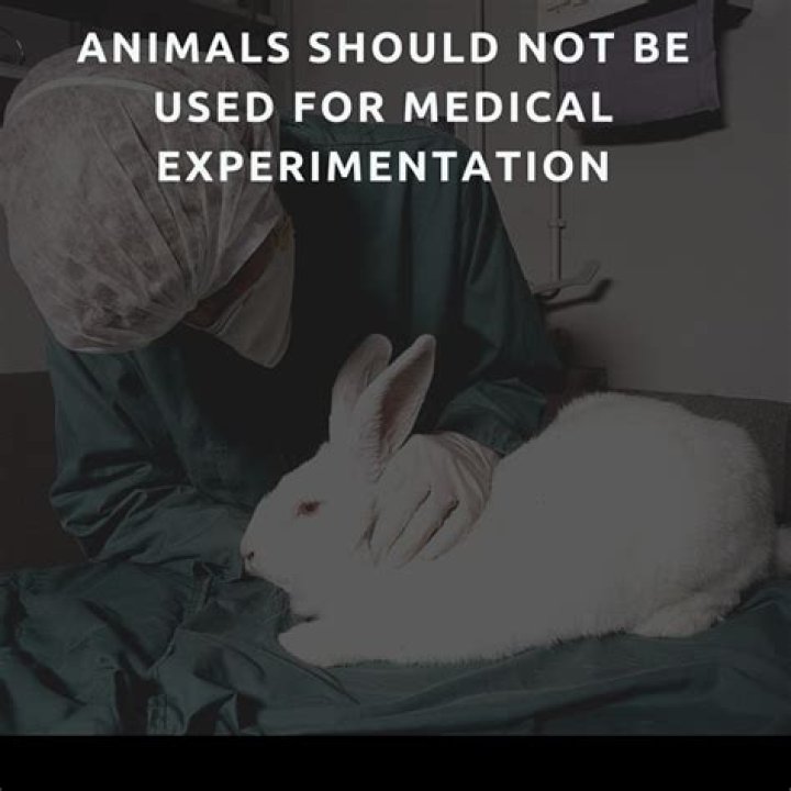 Why animals should not be tested on article?