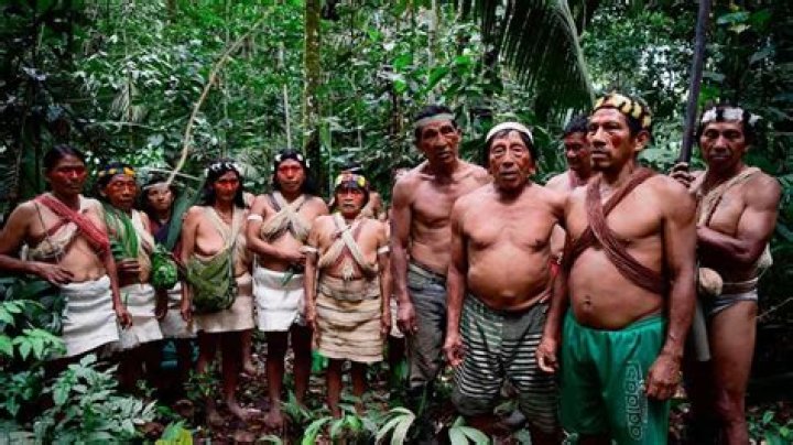 Why do indigenous people live on reserve?
