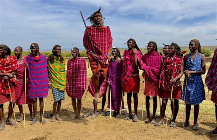 Why do the Maasai tribe drink blood?