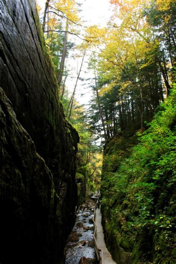 Why is the Flume gorge famous?