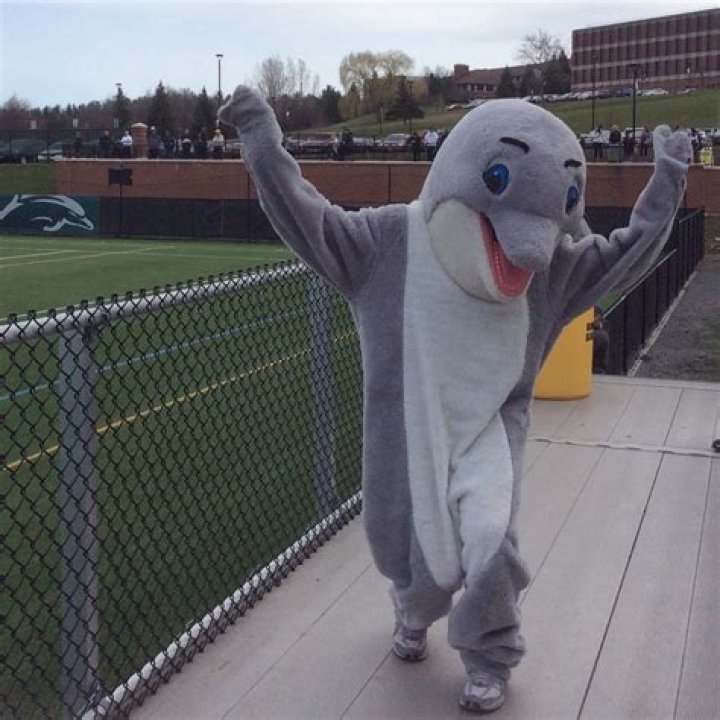 Why is the Lemoyne mascot a dolphin?